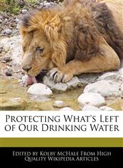 Protecting What's Left of Our Drinking Water,1270810952,9781270810957