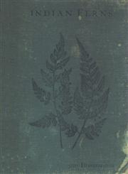 Handbook to the Ferns of British India : Ceylon and the Malay Peninsula - With Supplement