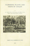Flowering Plants and Ferns of Ceylon A Revised Catalogue of the Indigenous Reprint