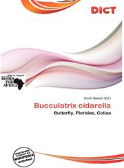 Bucculatrix Cidarella,6138343875,9786138343875