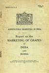 Agricultural Marketing in India : Report on the Marketing of Grapes in India and Burma 1st Edition