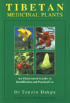 Tibetan Medicinal Plants An Illustrated Guide to Identification and Practical Use 1st Edition,8186230564,9788186230565