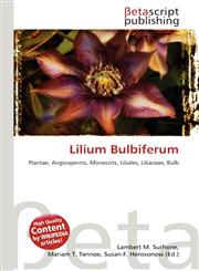 Lilium Bulbiferum,6134862967,9786134862967
