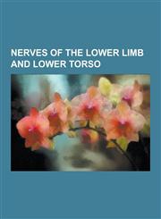 Nerves of the Lower Limb and Lower Torso Accessory Obturator Nerve, Anococcygeal Nerve, Anterior Branch of Obturator Nerve, Anterior Cutaneous Branch,1230504699,9781230504698