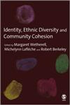 Identity, Ethnic Diversity and Community Cohesion,1412946174,9781412946179
