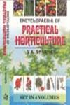 Encyclopaedia of Practical Horticulture 4 Vols. 1st Edition,8176291250,9788176291255