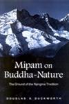 Mipam on Buddha-Nature The Ground of the Nyingma Tradition,0791477983,9780791477984