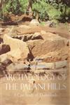 Archaeology of the Palani Hills A Case Study of Thandikudi 1st Edition,8188934798,9788188934799