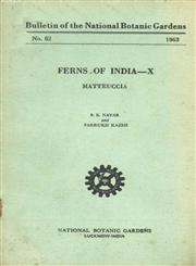Ferns of India - X Matteuccia