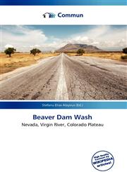 Beaver Dam Wash,6136791757,9786136791753