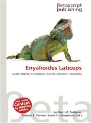 Enyalioides Laticeps,6135256904,9786135256901
