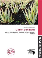Carex echinata,6139515432,9786139515431