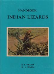Handbook : Indian Lizards 1st Edition