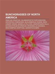 Bunchgrasses of North America Panicum virgatum, Calamagrostis purpurascens, Oryzopsis hymenoides, Muhlenbergia rigens, Reed canary grass,1233123076,9781233123070