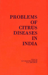 Problems of Citrus Diseases in India 1st Edition