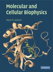 Molecular and Cellular Biophysics,0521624703,9780521624701