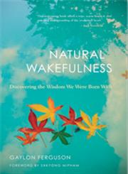 Natural Wakefulness Discovering the Wisdom we were Born With,1590306570,9781590306574