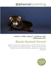 Black-footed Ferret,613024861X,9786130248611