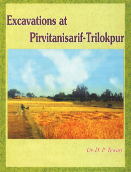 Excavations at Pirvitanisarif-Trilokpur 1st Edition