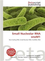 Small Nucleolar RNA snoM1,6134643017,9786134643016