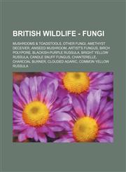 British Wildlife - Fungi Mushrooms & Toadstools, Other Fungi, Amethyst Deceiver, Aniseed Mushroom, Artist's Fungus, Birch Polypore, Blackish-Pu,1234842173,9781234842178