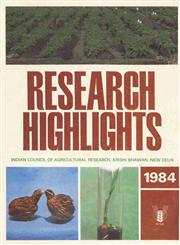 Research Highlights - 1984