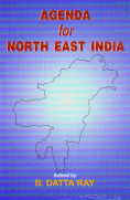 Agenda for North-east India 1st Edition,8170229383,9788170229384