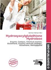 Hydroxyacylglutathione Hydrolase,6200064261,9786200064264