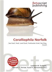 Coralliophila Norfolk,6137534960,9786137534960