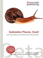 Galeodea Plauta, Snail,6136247089,9786136247083