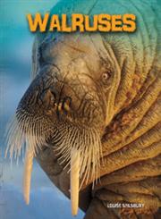 Walruses,1432970666,9781432970666