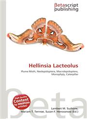 Hellinsia Lacteolus,6137501507,9786137501504