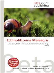 Echinolittorina Meleagris,6136499339,9786136499338