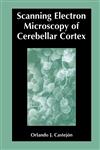 Scanning Electron Microscopy of Cerebellar Cortex,0306477114,9780306477119