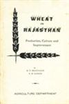 Wheat in Rajasthan Production, Culture and Improvement