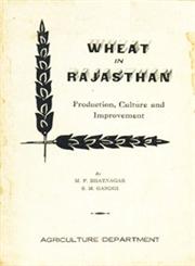 Wheat in Rajasthan Production, Culture and Improvement