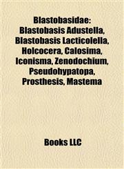 Blastobasidae Blastobasis Adustella, Blastobasis Lacticolella, Holcocera, Calosima, Iconisma, Zenodochium, Pseudohypatopa, Prosthesis, Mastema,115707992X,9781157079927