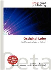 Occipital Lobe,6131033536,9786131033537