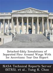 Detached-Eddy Simulations of Separated Flow Around Wings with Ice Accretions Year One Report,1289147469,9781289147464