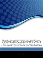 Articles On Oligocene Mammals, including Proailurus, Badlands National Park, Obdurodon, Ground Sloth, Omomyid, Bear Dog, Miohippus, Mylodontidae, Scelidotheriidae, Orophodontidae, Aegyptopithecus, Arsinoitherium, Chilgatherium,1243236094,9781243236098