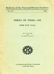 Ferns of India - XII (Some New Taxa)