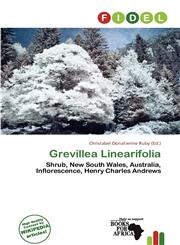 Grevillea Linearifolia,6139815797,9786139815791