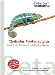 Chalcides Pentadactylus,6135277871,9786135277876