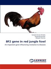 Bf2 Gene in Red Jungle Fowl,3848497530,9783848497539