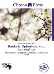 Banksia Spinulosa var. neoanglica,6139696550,9786139696550