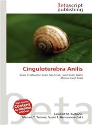 Cinguloterebra Anilis,6137633039,9786137633038