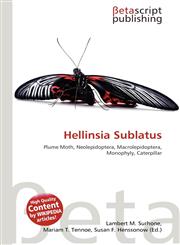 Hellinsia Sublatus,6137505979,9786137505977