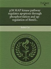 p38 MAP kinase pathway regulates apoptosis through phosphorylation and up-regulation of BimEL.,124358632X,9781243586322
