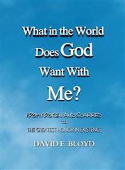 What in the World Does God Want with Me? From Broken and Scarred to the Greatest Honor in Existence,1620309009,9781620309001