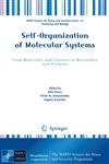 Self-Organization of Molecular Systems From Molecules and Clusters to Nanotubes and Proteins,9048124824,9789048124824